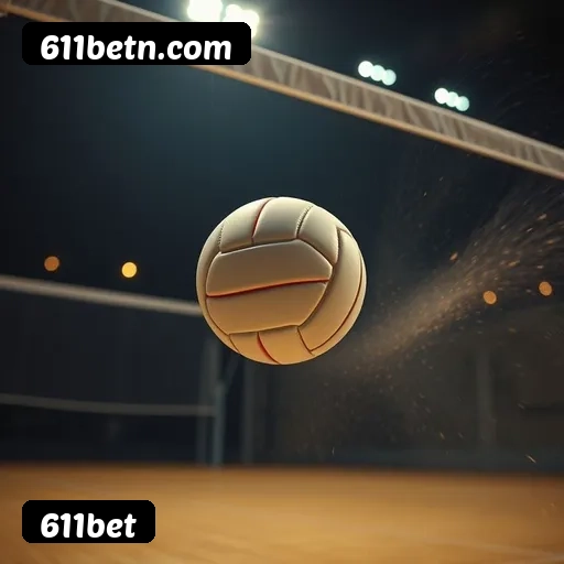 611bet: A Plataforma de Apostas com Serviço Profissional